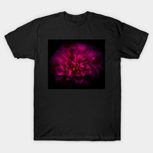 Backyard Flowers 55 Color Version T-Shirt